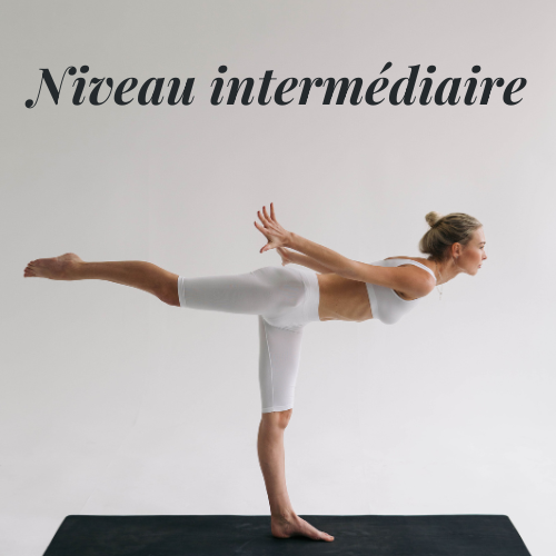 Namasté – Cours de yoga niveau intermédiaire