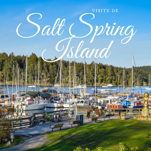Café Causerie – Sortie à Salt Spring Island