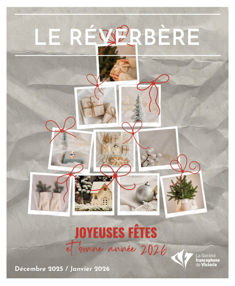 Cover of publication